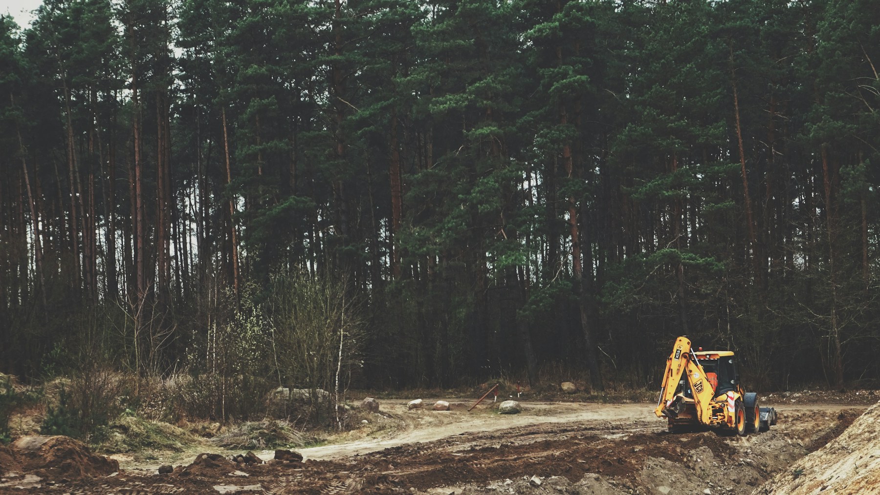 Loader working at the edge of a forested rural site